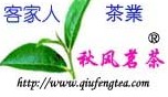 福建安溪秋风茗茶