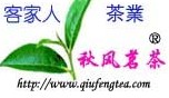 福建安溪秋风茗茶