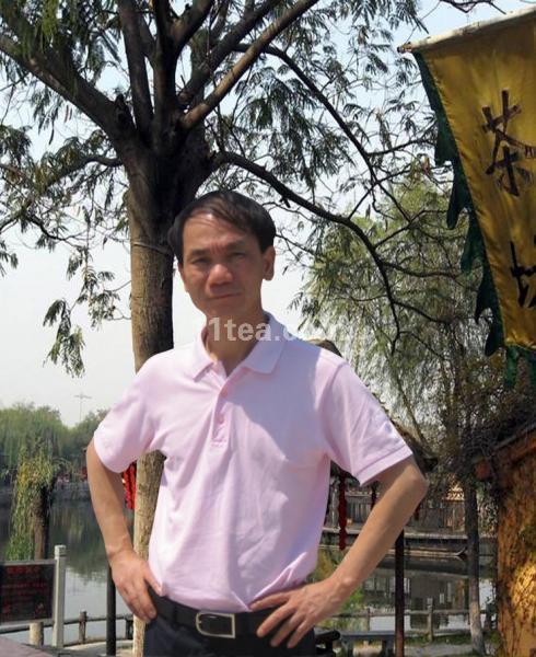 叶炳怀与绿大树的故事