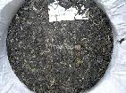 07年古树茶王青饼