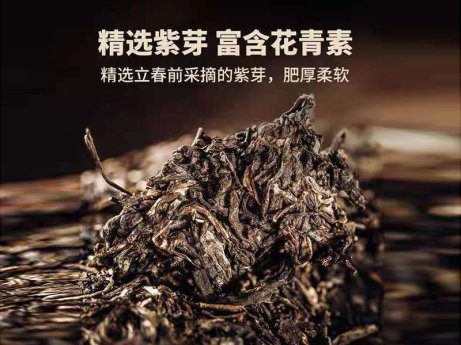 紫龙瑞贡（金瓜）（熟茶）