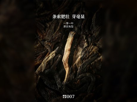 007（大饼）
