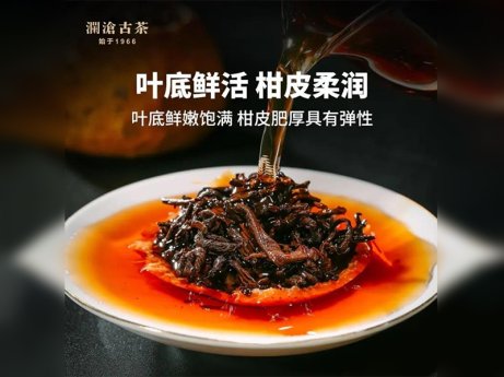 茶妈妈的陈皮普洱（红柑）